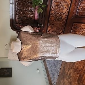Pewter metallic reversible sequin crop top.